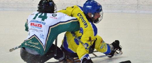 Immagine: Campionato italiano di Ice Sledge Hockey