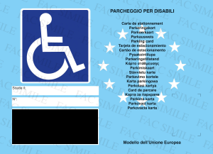 Immagine: Registro unico regionale per accesso ZTL